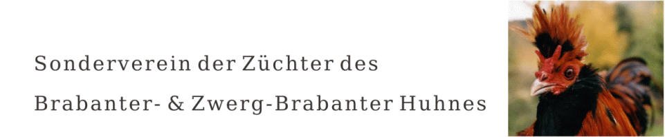 Sonderverein Brabanter
